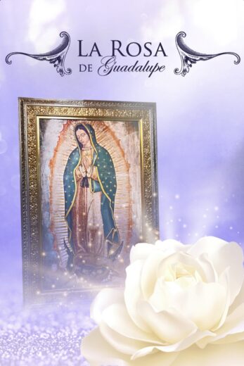 La rosa de Guadalupe