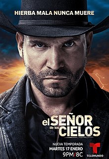 El Señor de los Cielos Temporada 8