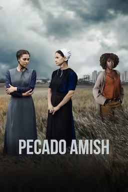 An Amish Sin