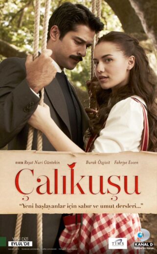 Çalikusu en Espanol