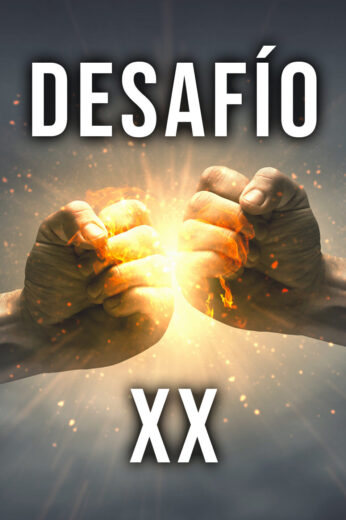 Desafío XX